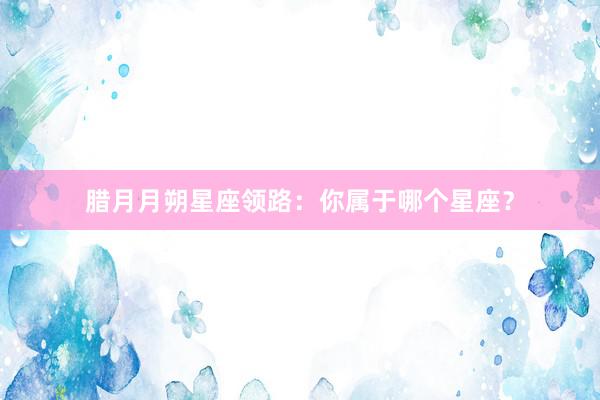 腊月月朔星座领路：你属于哪个星座？