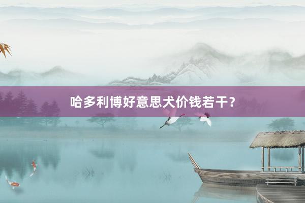 哈多利博好意思犬价钱若干？